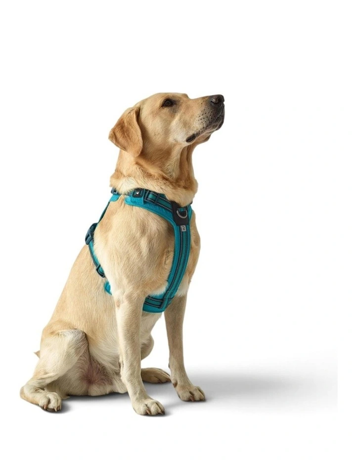 Dog Harness 500 in Blue image 1