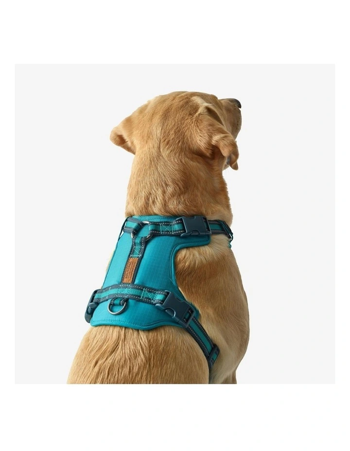 Dog Harness 500 in Blue image 2
