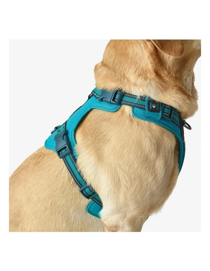 Dog Harness 500 in Blue image 3