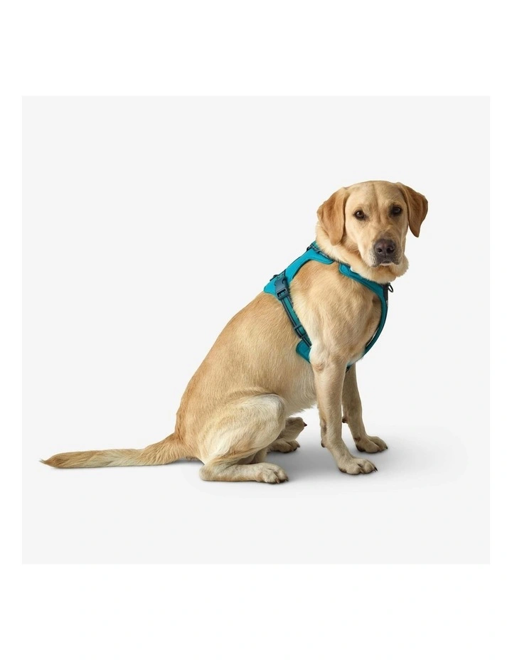 Dog Harness 500 in Blue image 4