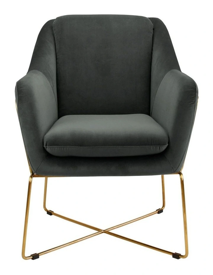 Aurelia Armchair, Charcoal Velvet, Brushed Gold Legs image 2