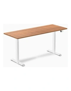 Dual Melamine Sit Stand Desk 2000x750mm in Prime Oak/White