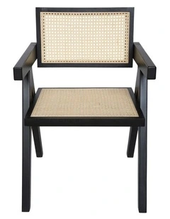Replica Pierre Jeanneret Chandigarh Dining Armchair