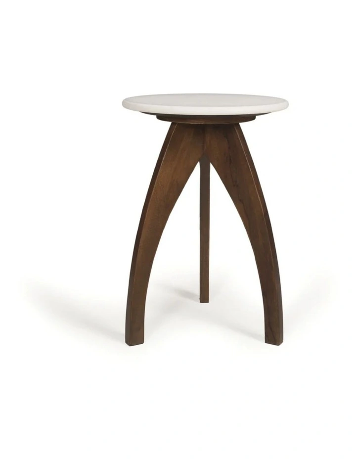 Tulip Banswara Marble & Mango Wood Side Table in Brown image 6