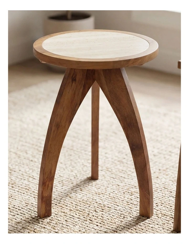 Trix Mango Wood Side Table in Brown image 3