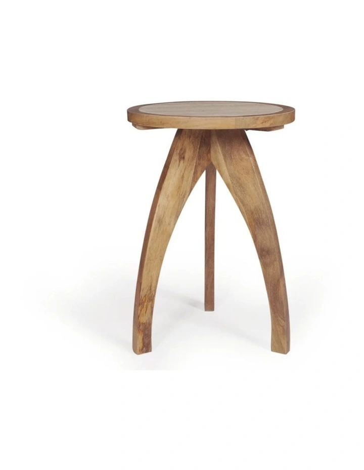 Trix Mango Wood Side Table in Brown image 5