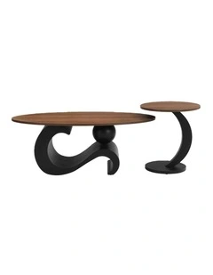 Modern Coffee Table Set of 2 in Brown