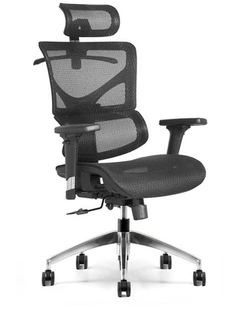BIRGER Executive Office Chair with Headrest - Black