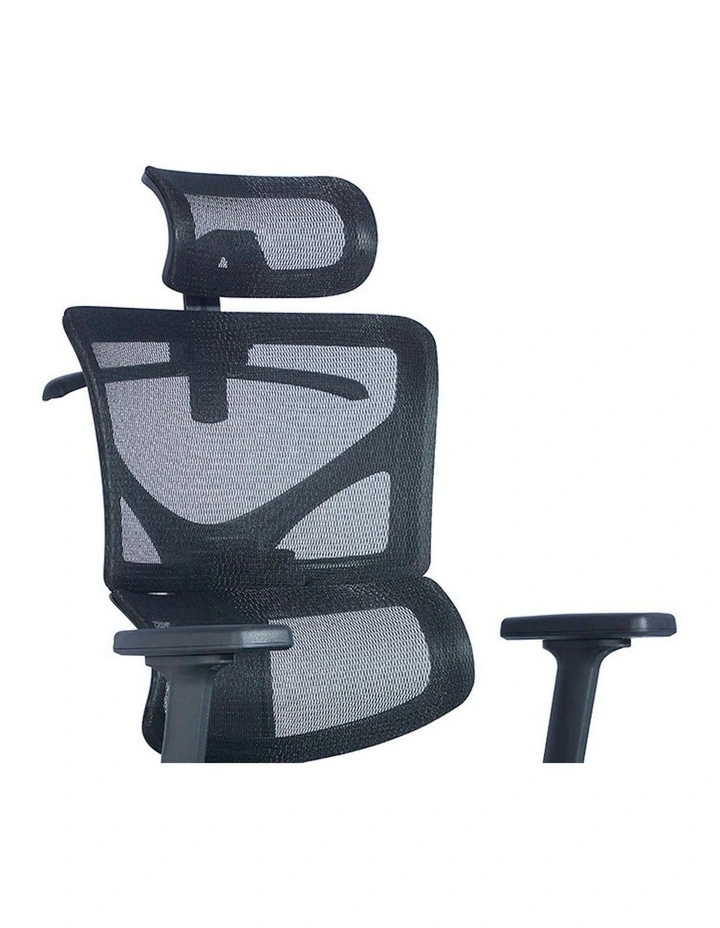 BIRGER Executive Office Chair with Headrest - Black image 5