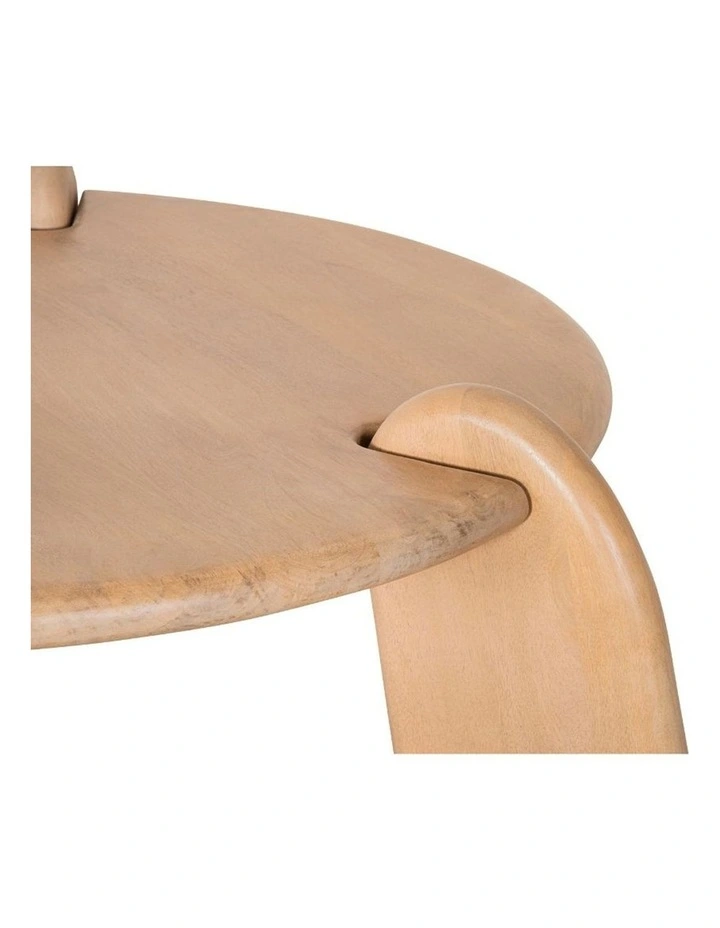 Bowen Indoor Round Timber Side Table image 4