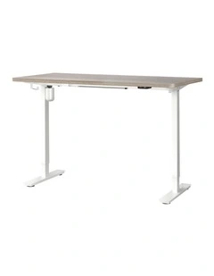 Oikiture 140CM Electric Standing Desk Single Motor