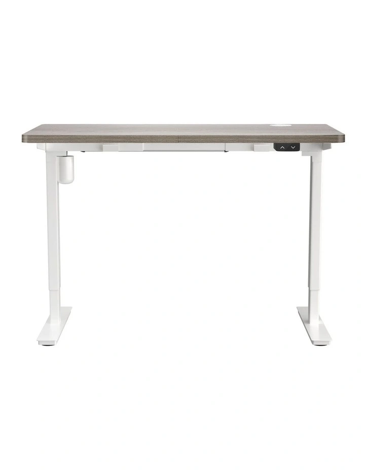 Oikiture 140CM Electric Standing Desk Single Motor image 2
