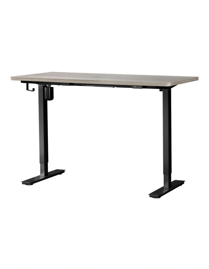 Oikiture 140CM Electric Standing Desk Single Motor image 1