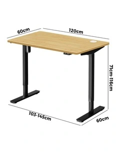 Oikiture Electric Standing Desk Single Motor 120cm OAK Tabletop