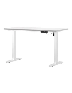 Oikiture Electric Standing Desk Single Motor 140CM