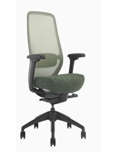 Desky CoilFlex Ergonomic Office Chair