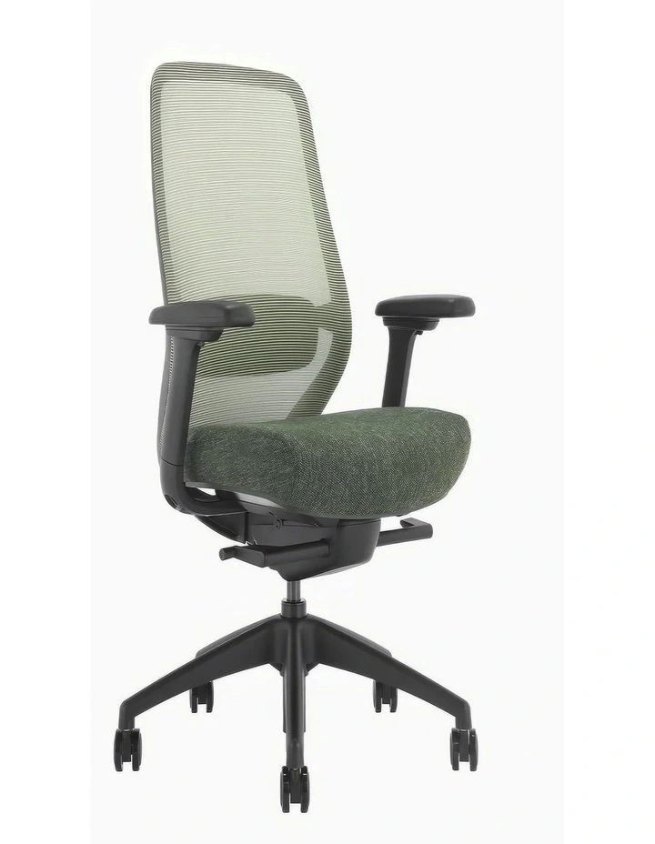Desky CoilFlex Ergonomic Office Chair image 1