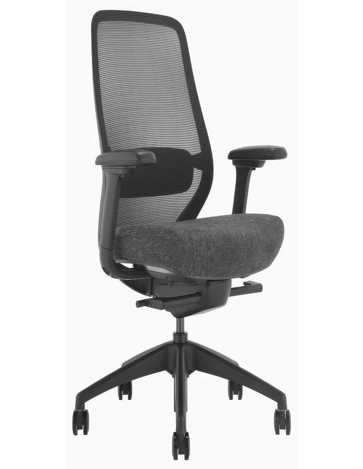 Desky CoilFlex Ergonomic Office Chair image 1