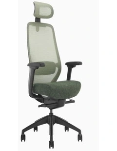 Desky CoilFlex Ergonomic Office Chair