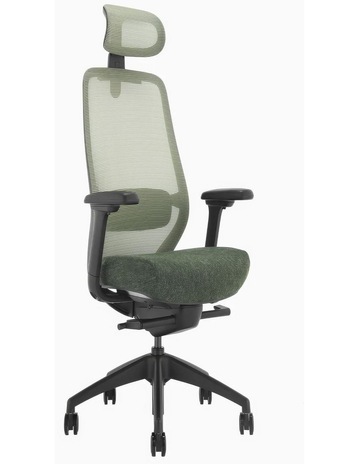 Dark Green / Headrest colour