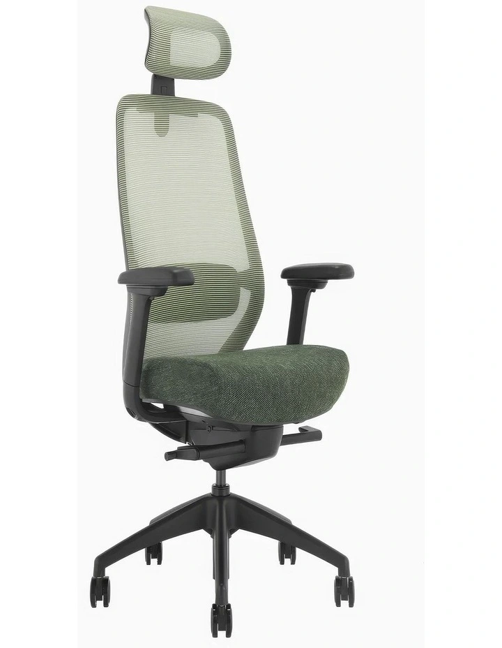 Desky CoilFlex Ergonomic Office Chair image 1