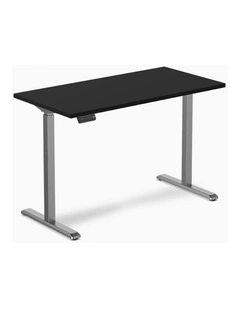 Desky Single Sit Stand Desk