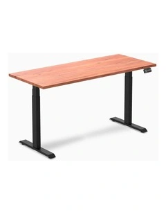 Desky Dual Softwood Sit Stand Desk