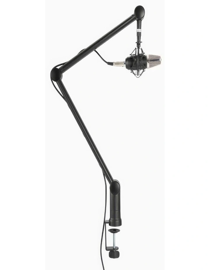 Desky Adjustable Microphone Boom Arm image 1