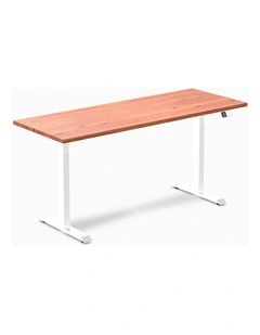 Desky Dual Softwood Sit Stand Desk