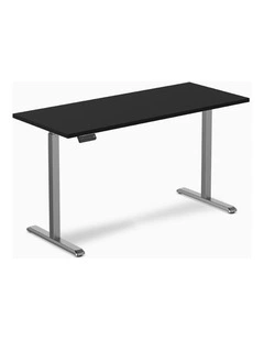 Desky Single Sit Stand Desk