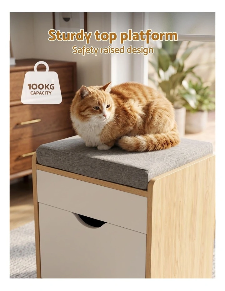Artiss Storage Ottoman with Drawer 100kg Capacity Footrest Cushion Oak image 4