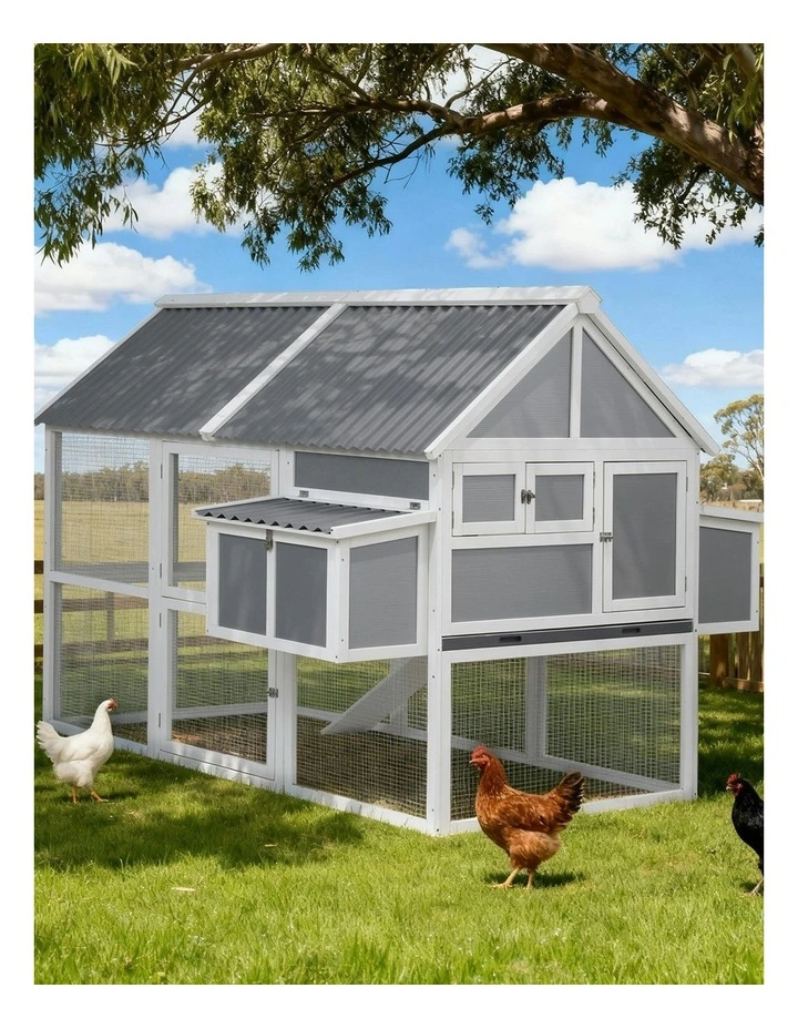 Chicken Coop Large Outdoor House in Grey White image 3
