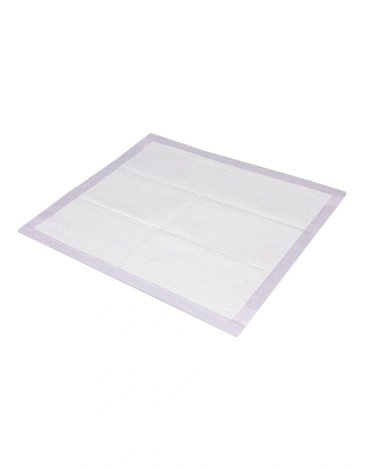 Pawz 100x Dog Toilet Training Pad Puppy Potty Pee Mat 60x60cm image 1