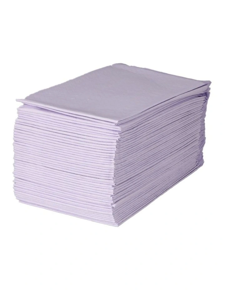 Pawz 100x Dog Toilet Training Pad Puppy Potty Pee Mat 60x60cm image 5