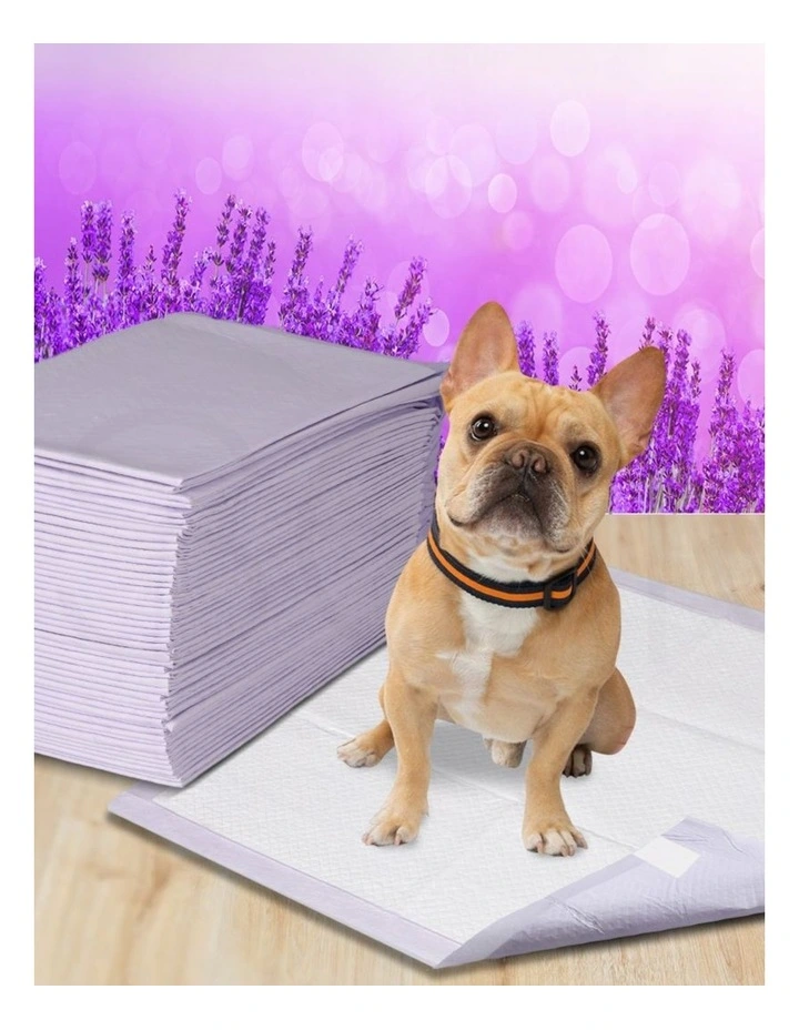 Pawz 100x Dog Toilet Training Pad Puppy Potty Pee Mat 60x60cm image 7