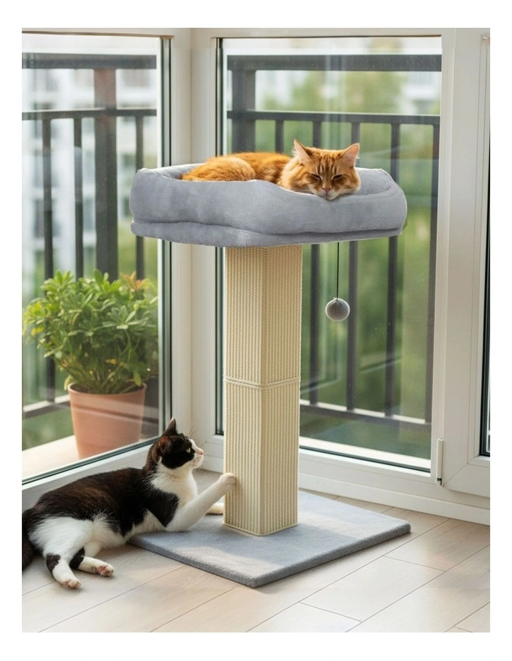 Pawz Cat Scratcher Big Perch Bed Natural Sisal Condo 71cm image 7