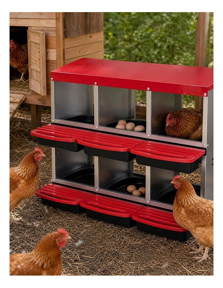 Pawz Chicken Hen Coop Hutch 6 Hole Double Layer Roll Away Lay Egg Nesting Box image 7
