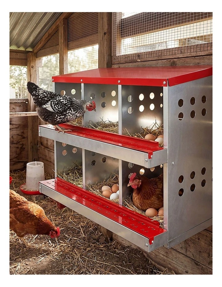 Pawz Chicken Nesting Box 6 Hole 2-Tier Roll Away Egg Collection Galvanized Coop image 7