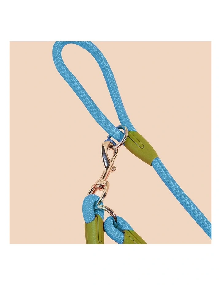 SOGA 2X 220cm Hands Free Double Ended Dog Leash Pet Training Blue image 6