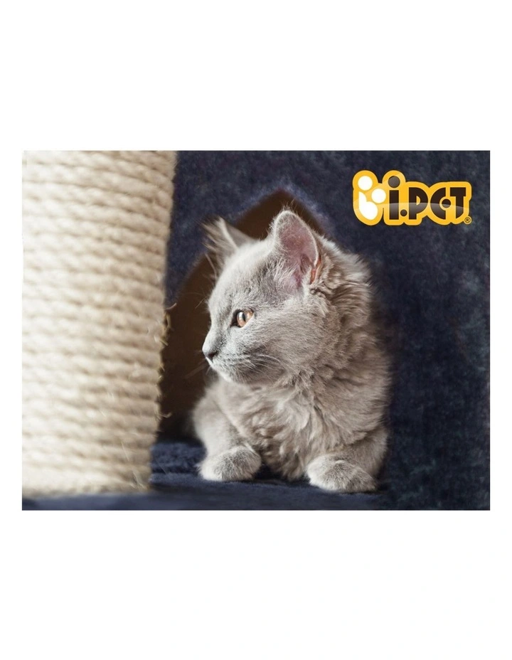 i.Pet Cat Tree 244cm Tower Scratching Post Scratcher Trees Condo House Grey image 7