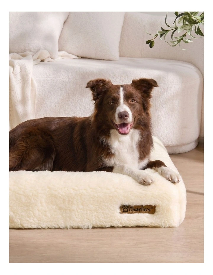 Charlie's Dolly Australian Wool Orthopedic Dog Bed 100x65cm Medium image 2