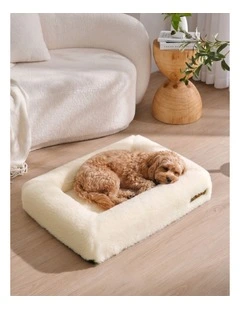 Charlie's Dolly Australian Wool Orthopedic Dog Bed 70x50cm Small
