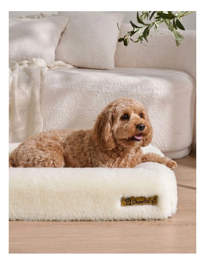 Charlie's Dolly Australian Wool Orthopedic Dog Bed 70x50cm Small image 2