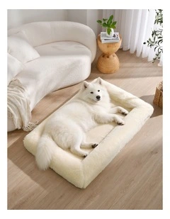 Charlie's Dolly Australian Wool Orthopedic Dog Bed 120x75cm Large