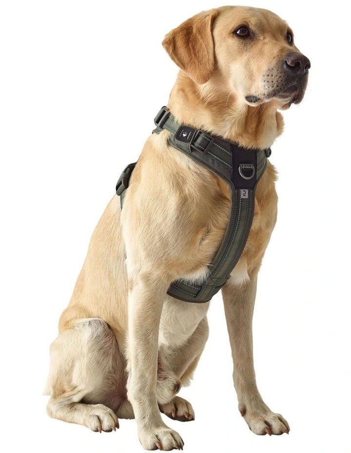 Decathlon - Dog harness outdoor 500 khaki image 1