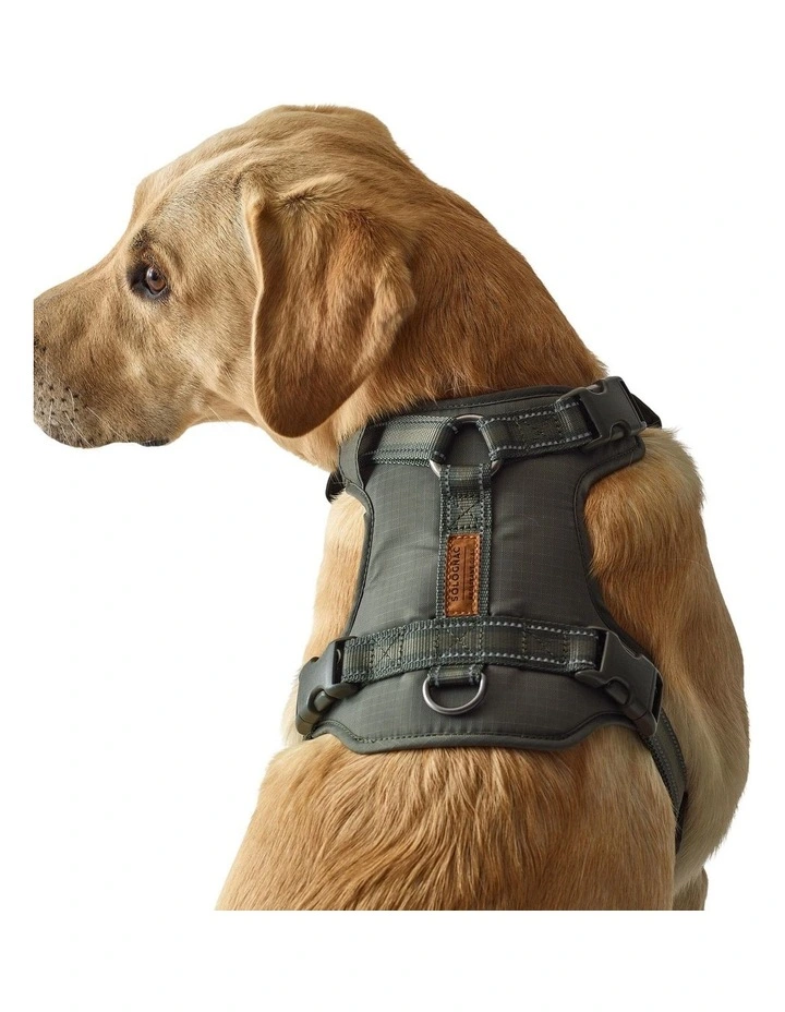Decathlon - Dog harness outdoor 500 khaki image 4