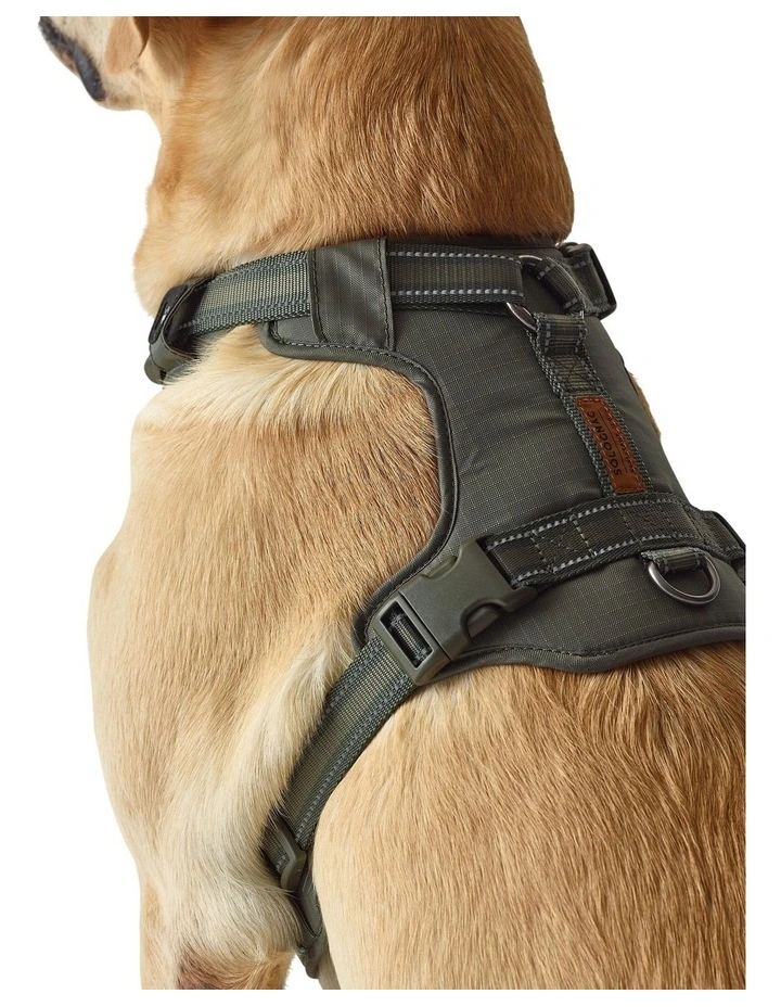 Decathlon - Dog harness outdoor 500 khaki image 5