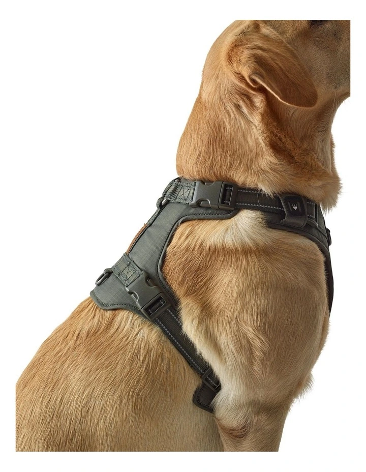 Decathlon - Dog harness outdoor 500 khaki image 6