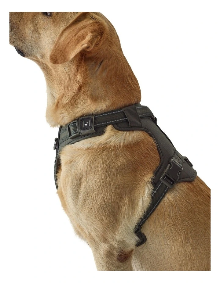 Decathlon - Dog harness outdoor 500 khaki image 7