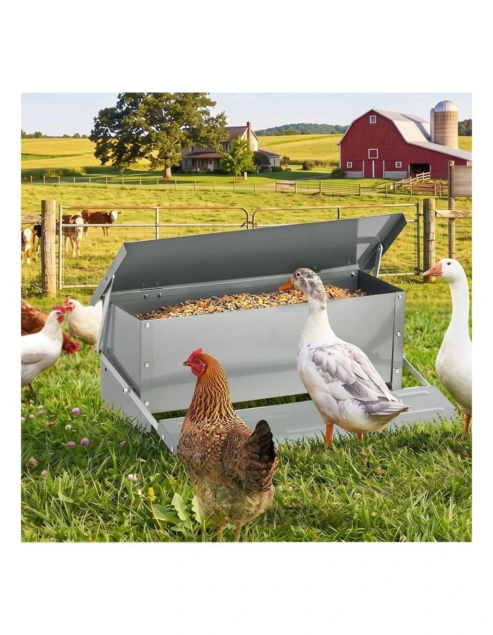Alopet Automatic Chicken Food Feeder Galvanized Treadle Self Opening Feed 10kg image 7